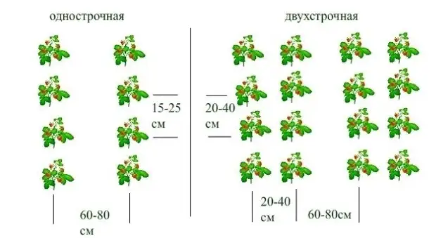 Как сделать вертикальные грядки?
