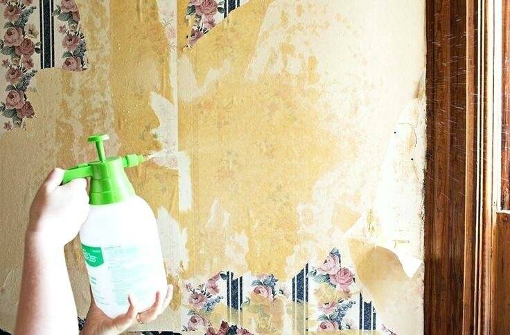Как помыть обои на кухне от грязи