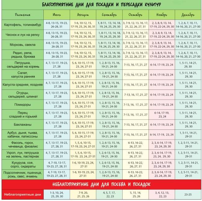 7 дел по ремонту на даче, которые еще можно успеть сделать до конца дачного сезона