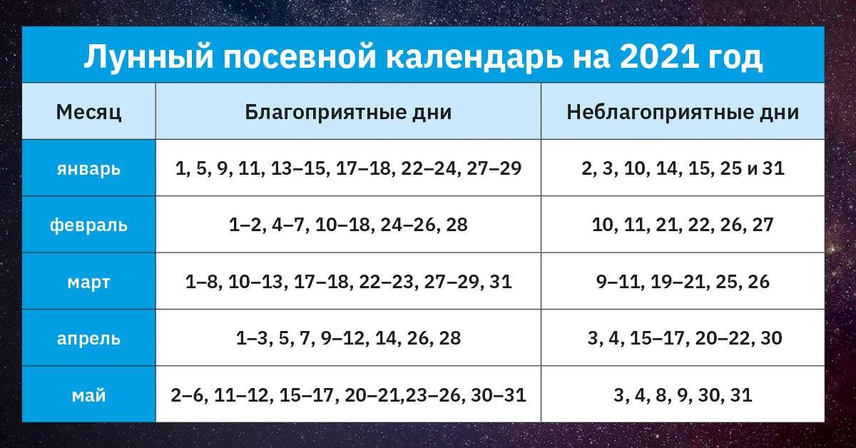 Что делать на даче в январе-феврале - огородные хитрости
