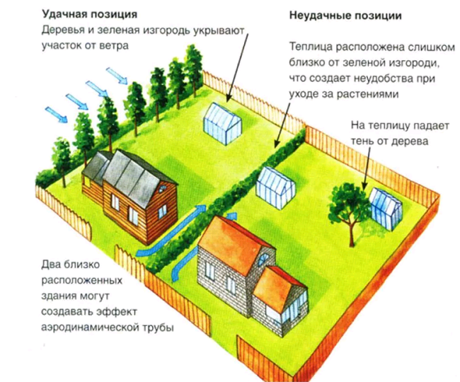 Что посадить на участке площадью 6 соток?