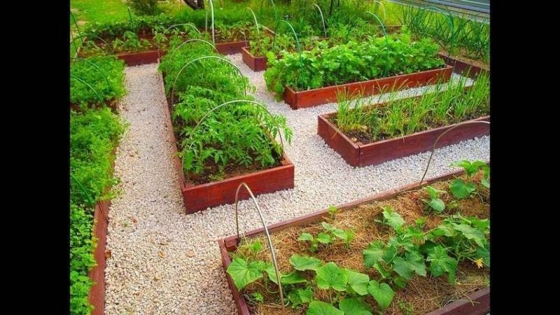 15 красивых дачных участков простых людей