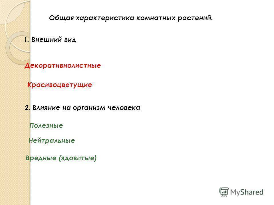 9 способов разместить цветочные горшки на подоконнике
