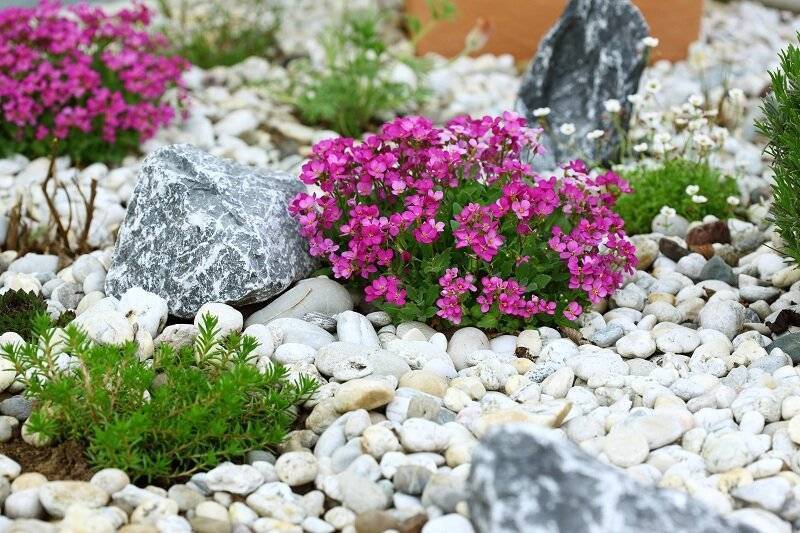 Как сэкономить место на маленьком участке?