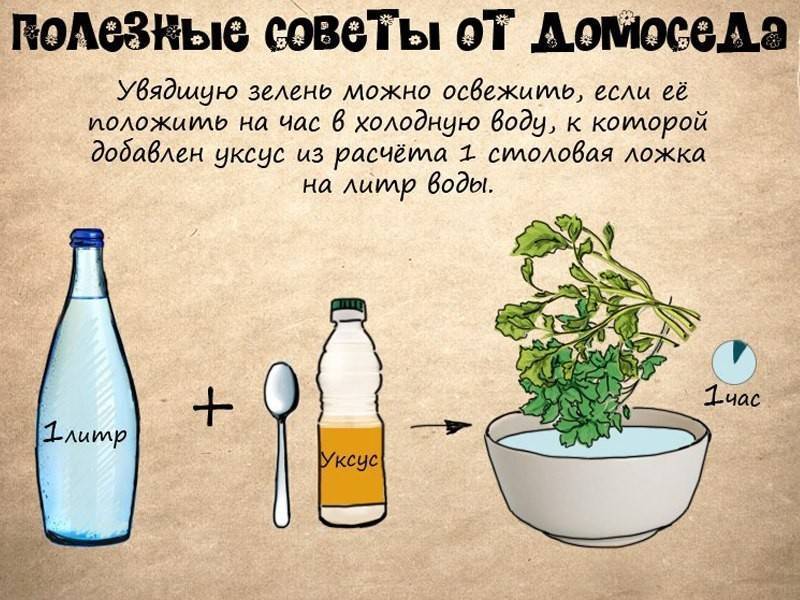 Топ-9 лайфхаков для кухни: лучшие идеи по организации пространства и готовке