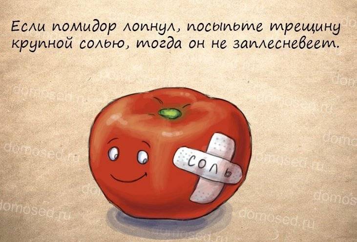 Полезные хитрости для быта: 60 крутых лайфхаков для дома и кухни