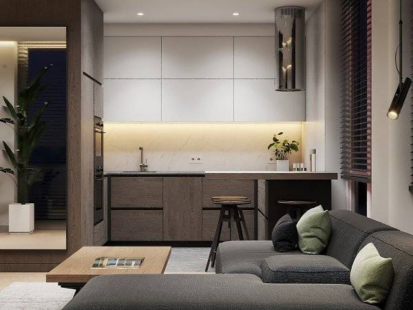 Как зонировать квартиру-студию 25–30 кв.метров: реальные фото и советы профессионалов