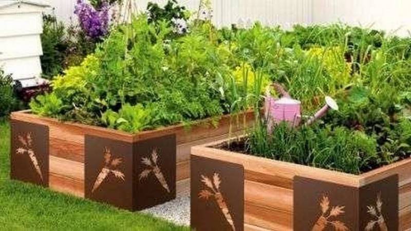 15 красивых дачных участков простых людей