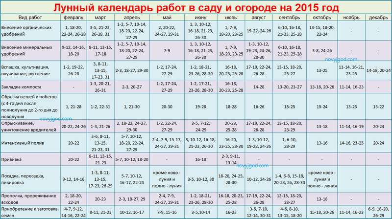 В какой день недели лучше начинать важные дела: приметы
