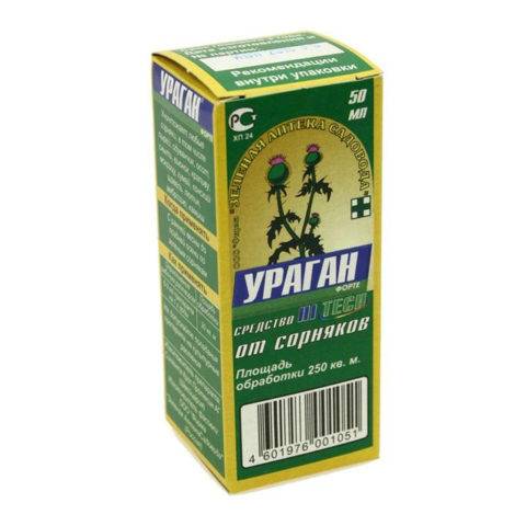 Самые красивые сорняки на даче