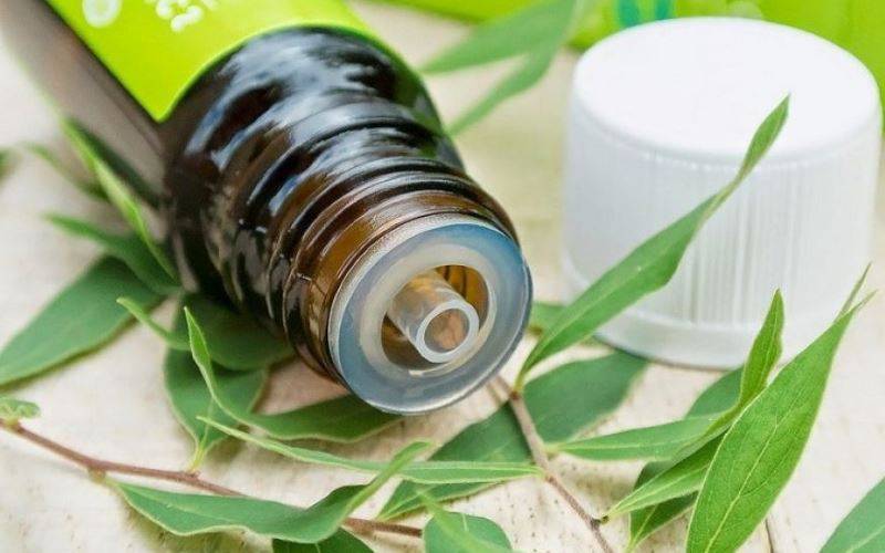 Как избавиться от плесени в ванной комнате?