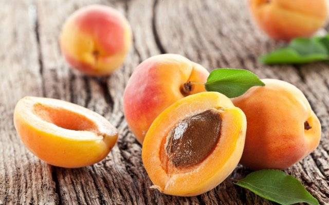 Какие комнатные растения можно вырастить из косточки?